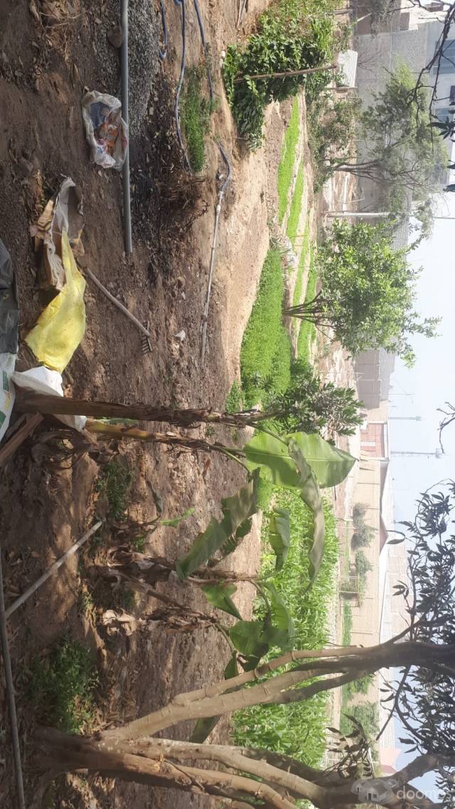 venta de terreno en distrito de huanchaco