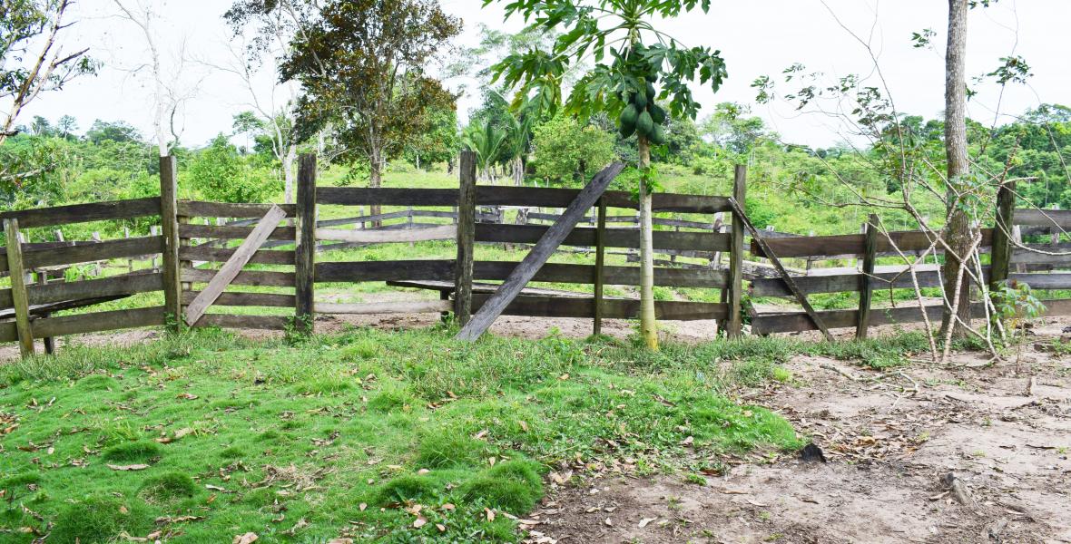 Terrenos Agricolas Venta Carretera Contamana, Aguas Calientes - CONTAMANA