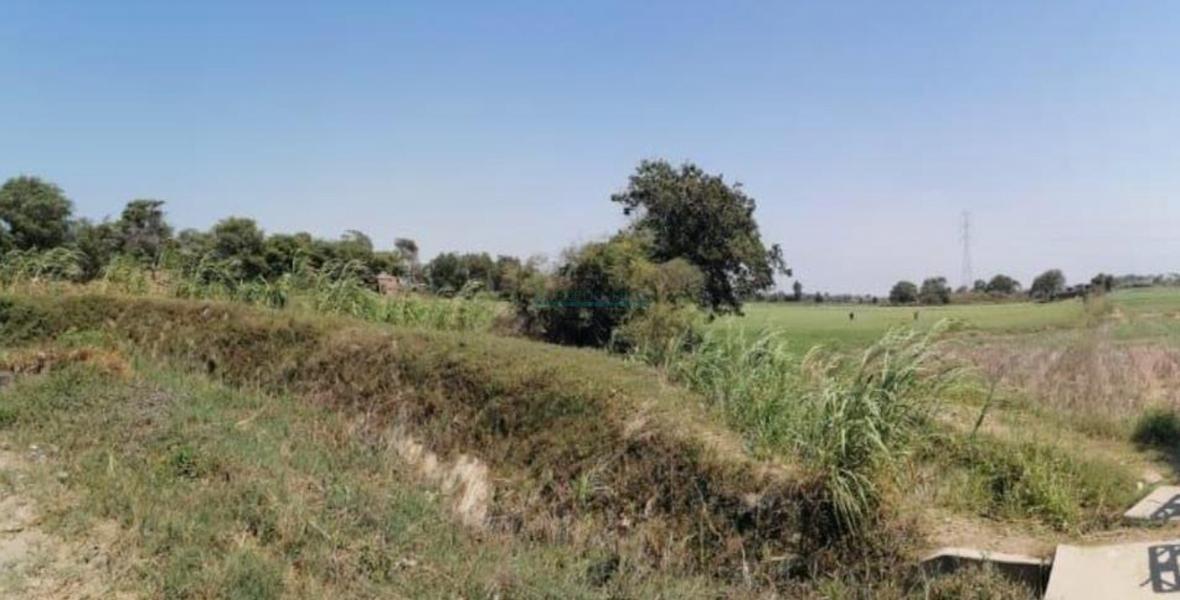 Terrenos Agricolas Venta CAL. Predio San Francisco, Valle Chancay  - CHICLAYO