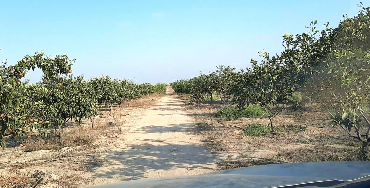 Terrenos Agricolas Venta Sector Quebrada Grande - TUMBES